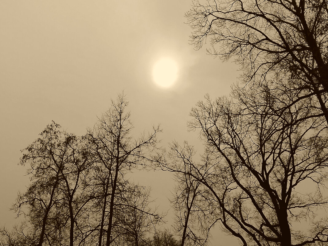 *** - Валентина Береснева