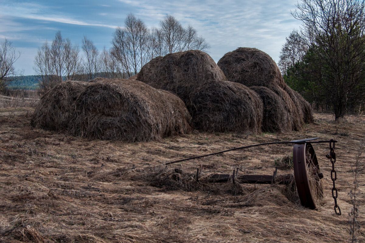 ... - Владимир Новиков