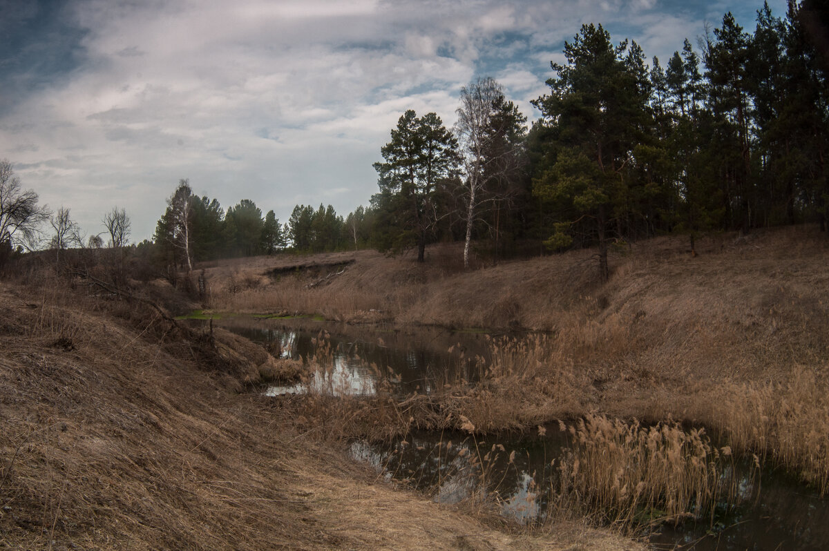 ... - Владимир Новиков