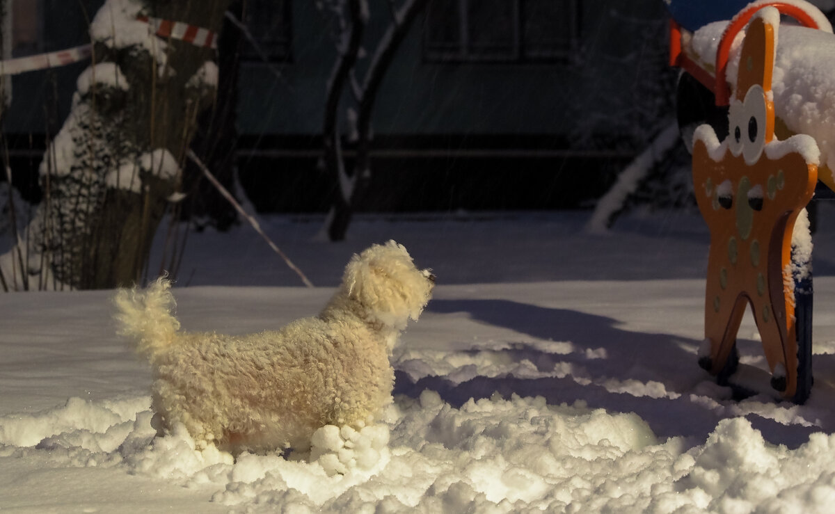 ***** - юрий поляков ***** - юрий поляков