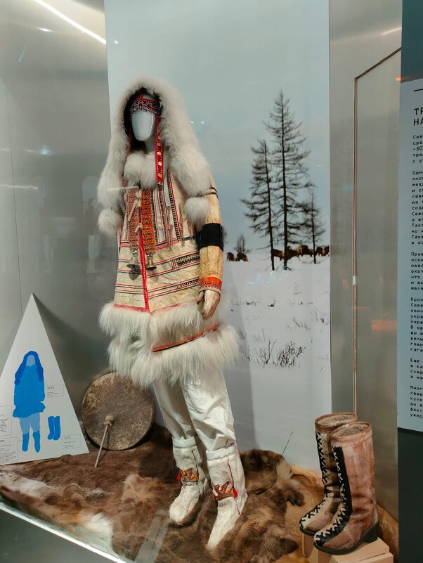 Лёд. Жизнь - выставка-экспедиция про все аспекты льда - Ирэн 