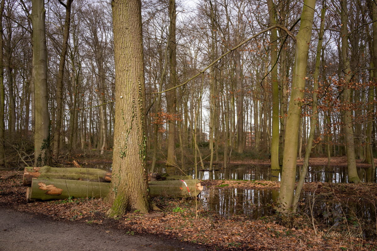 В черте города... - Николай Гирш В черте города... - Николай Гирш