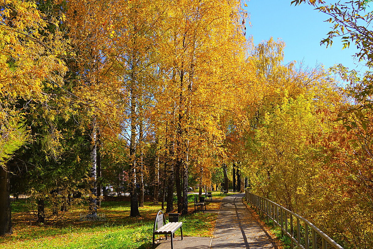 Место для прогулок - Сергей Беляев Место для прогулок - Сергей Беляев