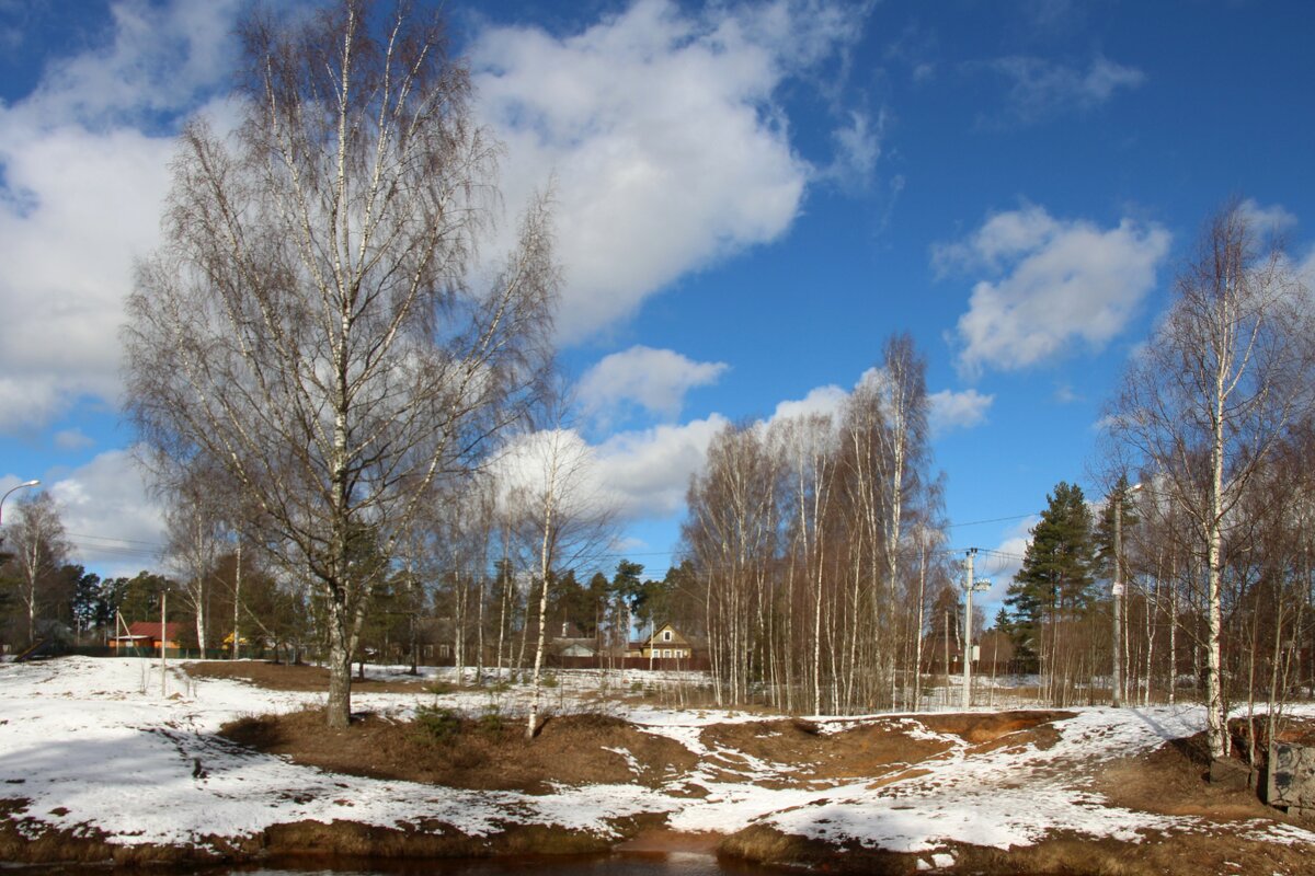 Весенняя Вырица - Наталья Герасимова