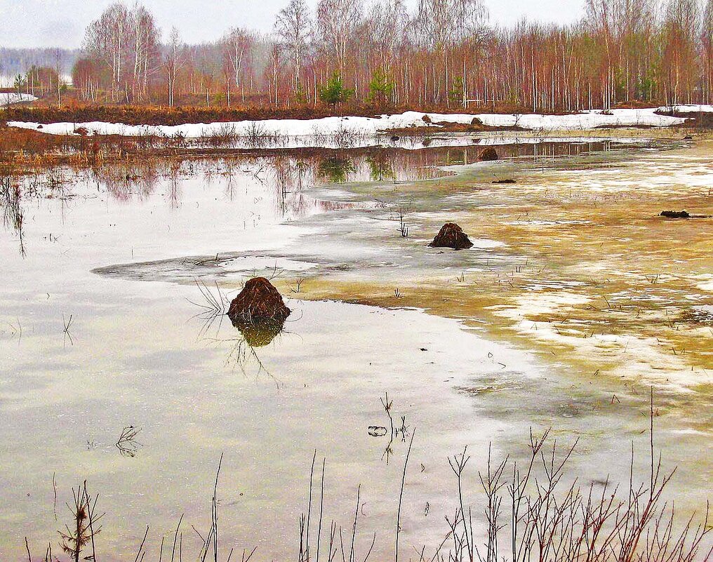 Май..Ондатровые хатки! - Владимир 