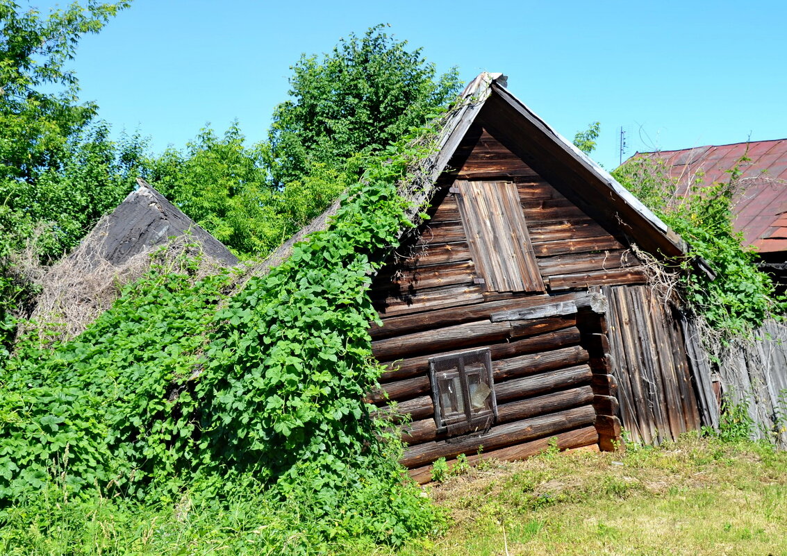 ХАТА ВО ХМЕЛЮ - Юрий Вовк