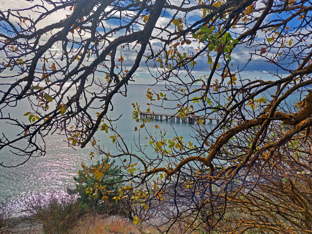 вид на залив - ИРЭН@ . вид на залив - ИРЭН@ .