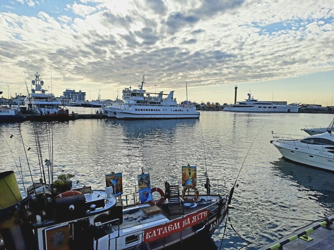 Порт Сочи. Апрель 2025 - Tata Wolf