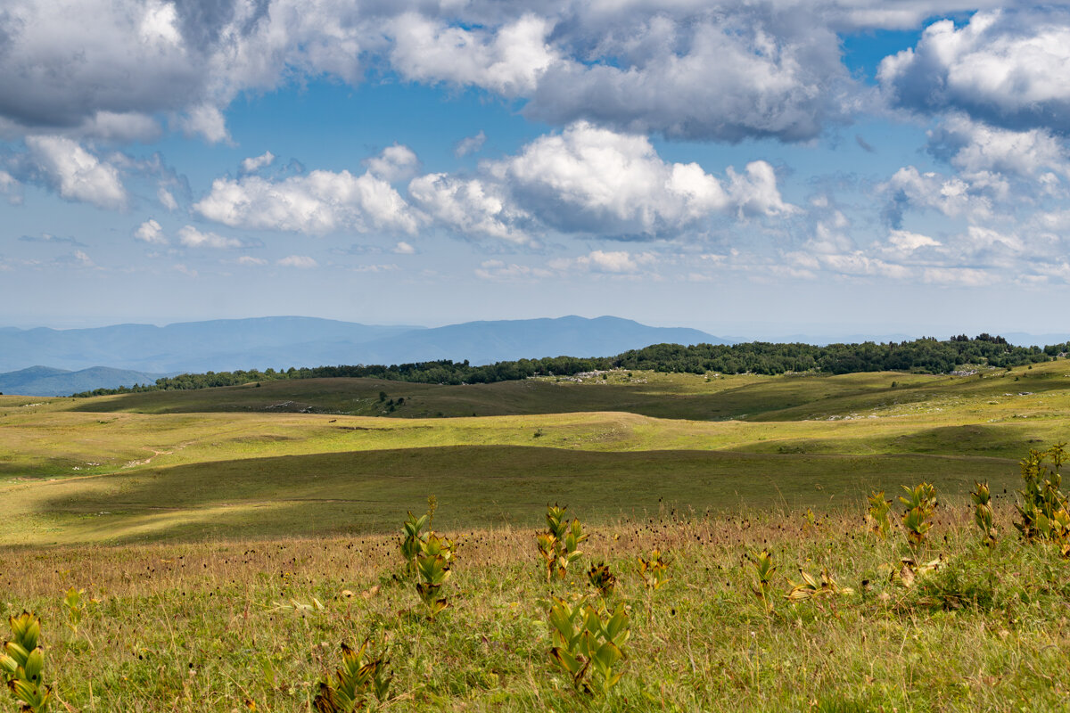 Лаго-Наки, любимые мои места - Игорь Сикорский