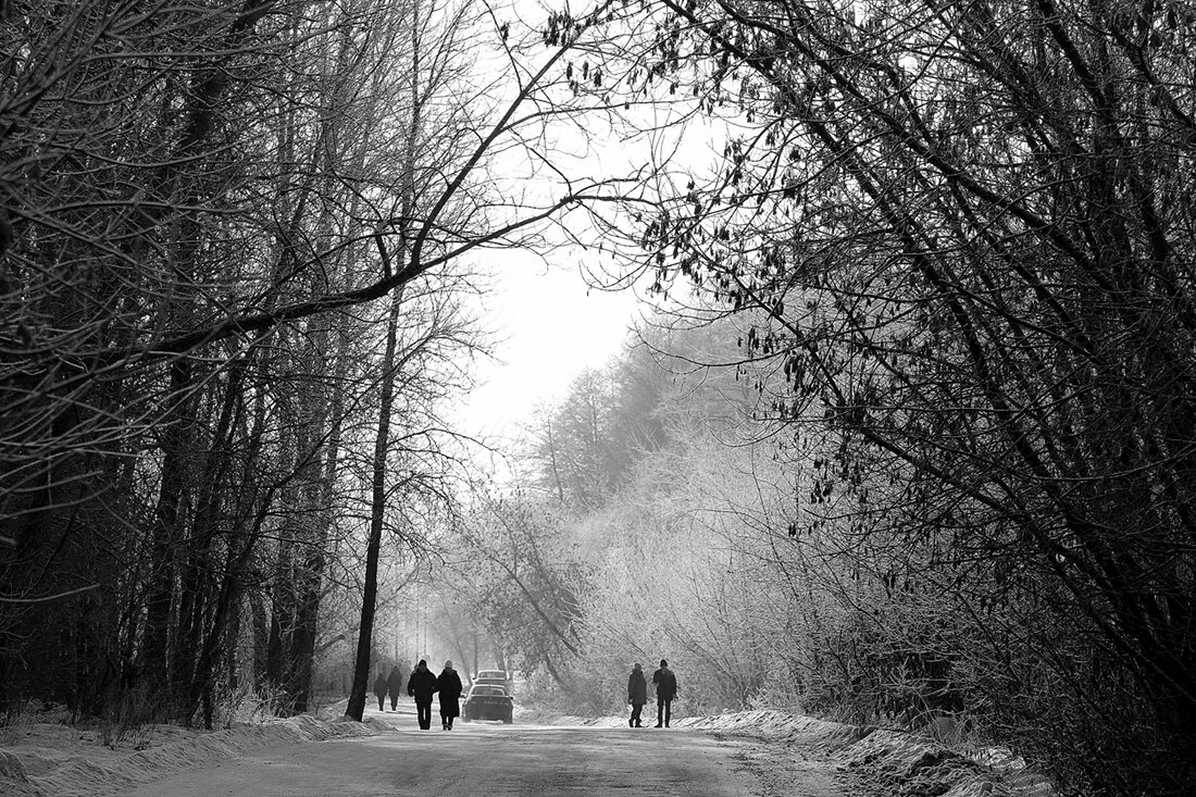 *** - Aleksandr Gal *** - Aleksandr Gal