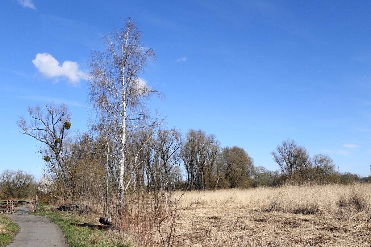 Городские окраины - Рита Симонова Городские окраины - Рита Симонова