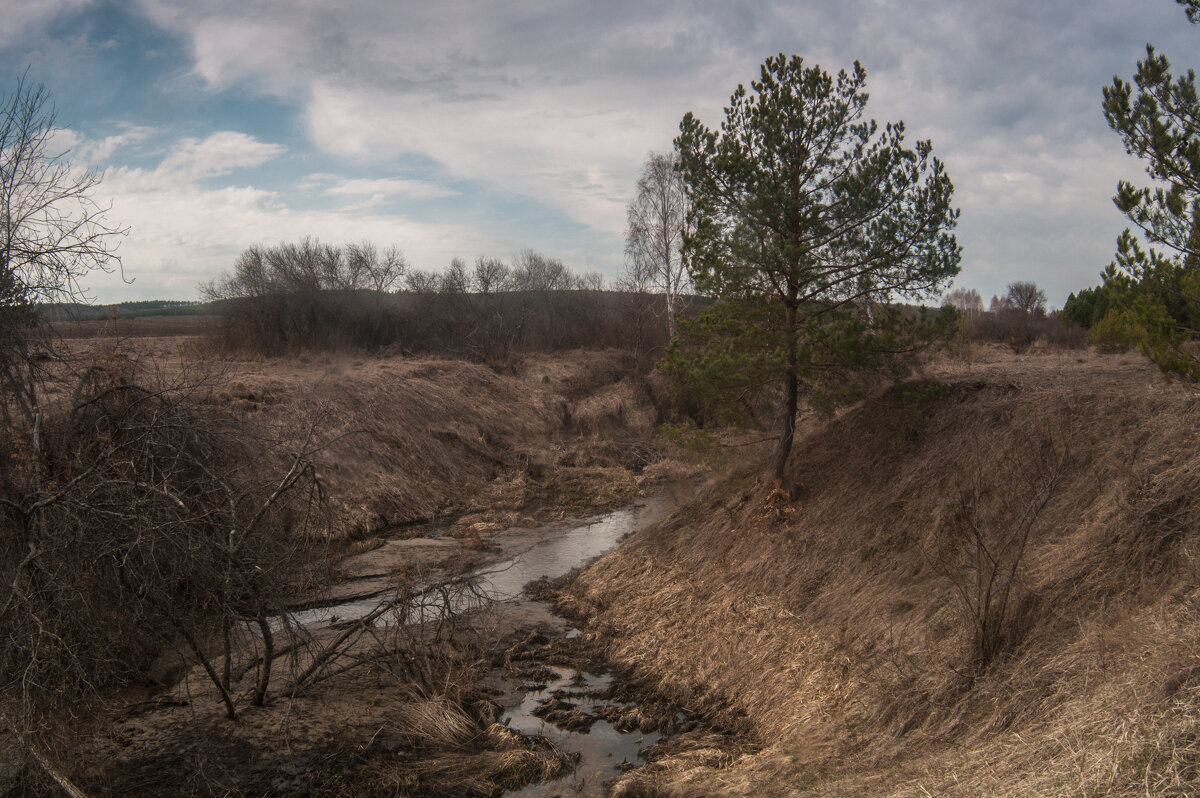 ... - Владимир Новиков