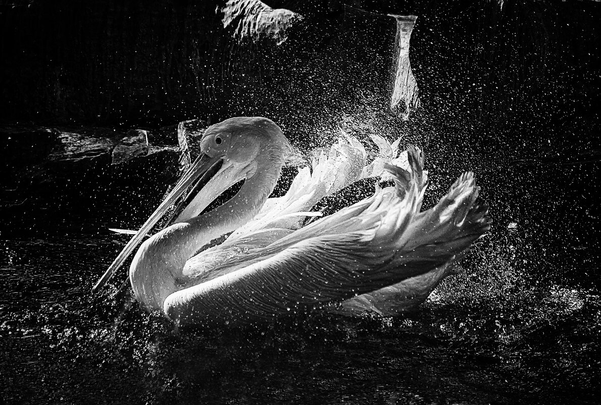 ***** - Андроник Александр ***** - Андроник Александр