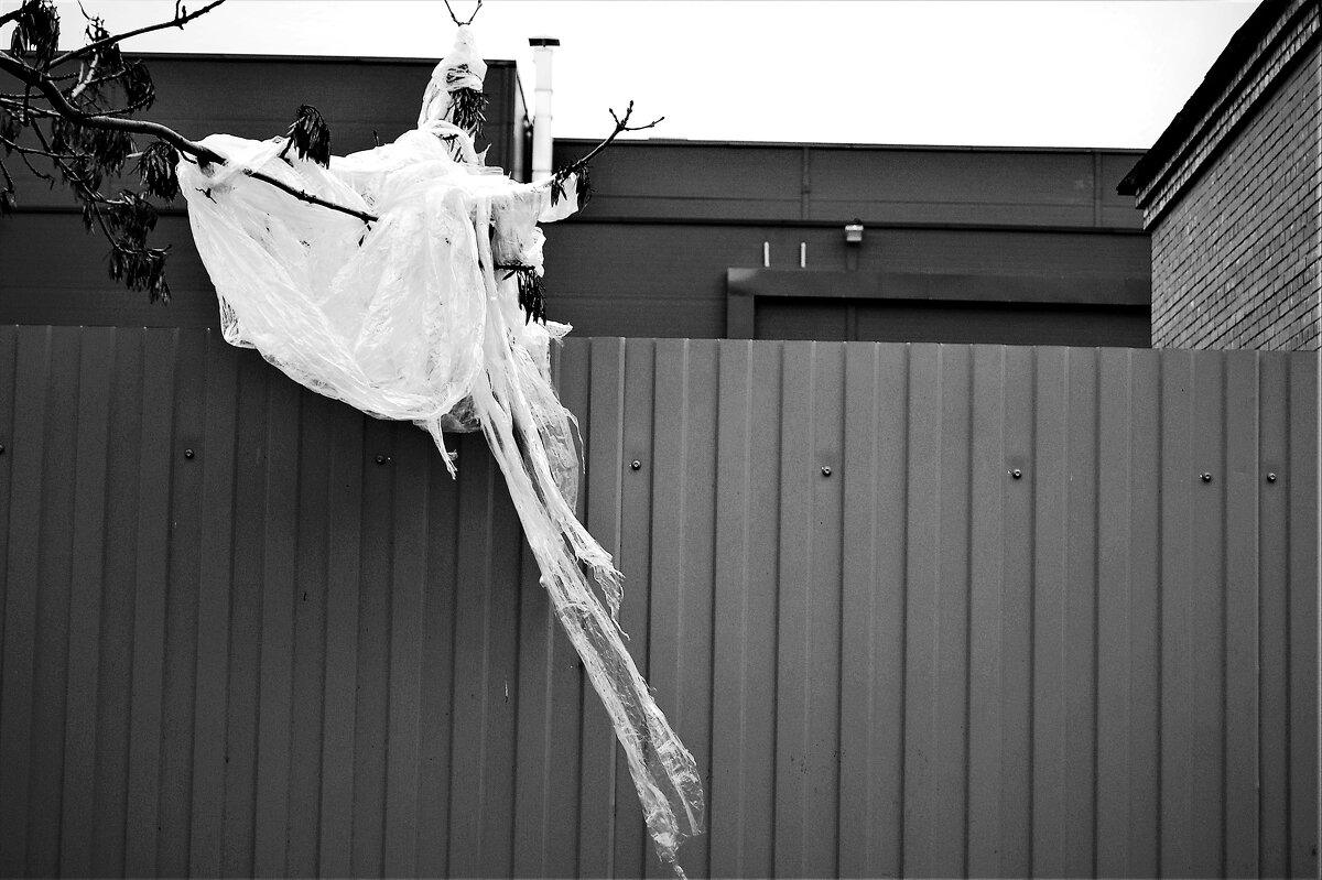 КАПИТУЛЯЦИЯ - Виктор Никитенко