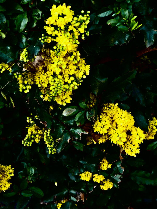 Весенние зарисовки 84 - Алексей Кузнецов