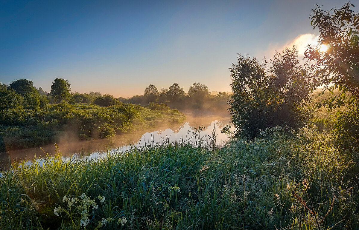 Река Мелеча - Николай Дергачев