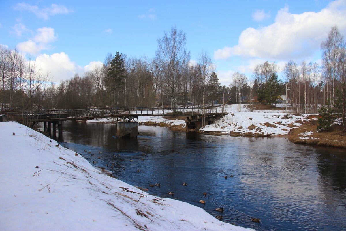 р. Оредеж - Наталья Герасимова