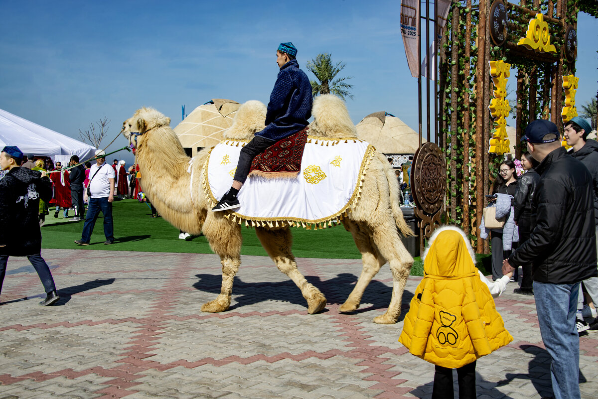 Верхом на верблюде - Анатолий Чикчирный Верхом на верблюде - Анатолий Чикчирный