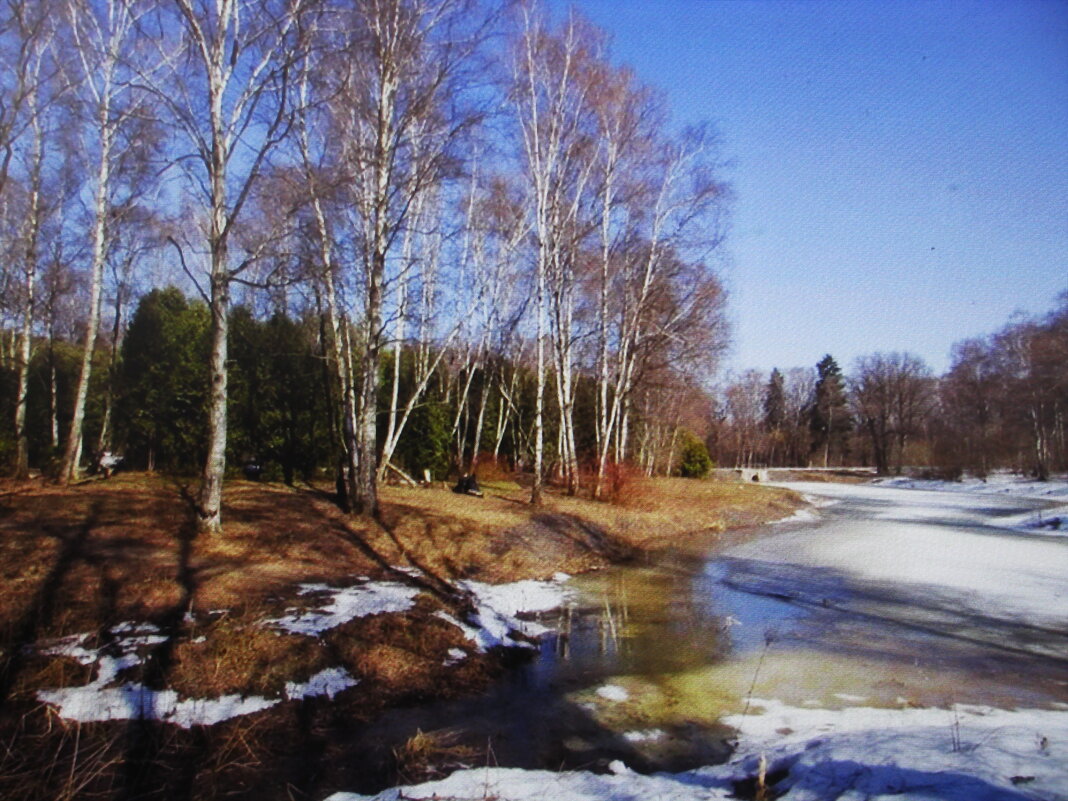 Апрельская природа - Людмила Смородинская