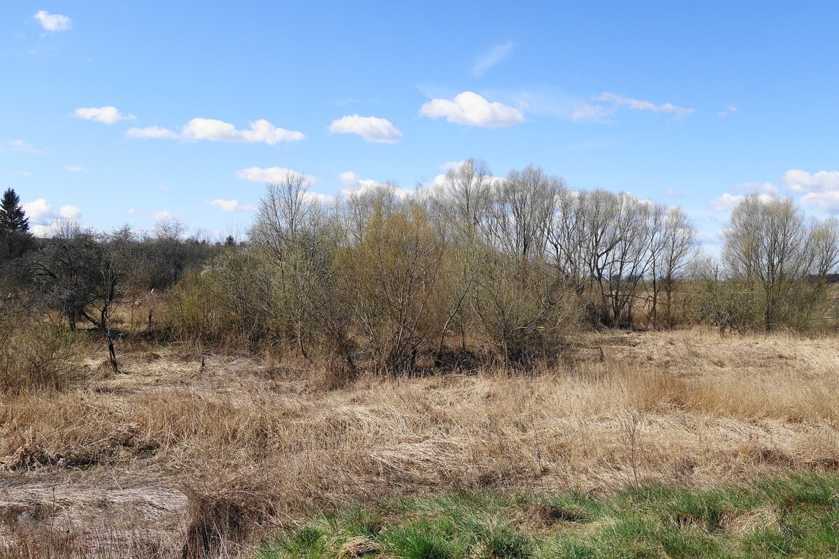 Городские окраины - Рита Симонова Городские окраины - Рита Симонова