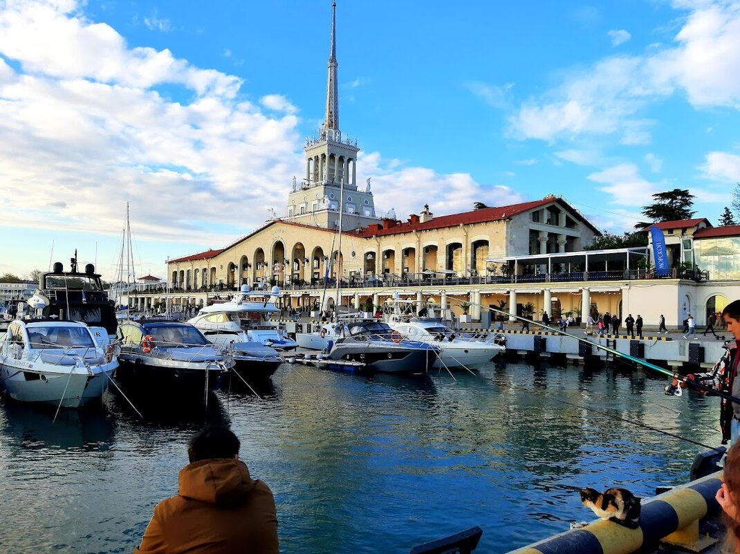 ПОРТ СОЧИ. АПРЕЛЬ 2025 - Tata Wolf