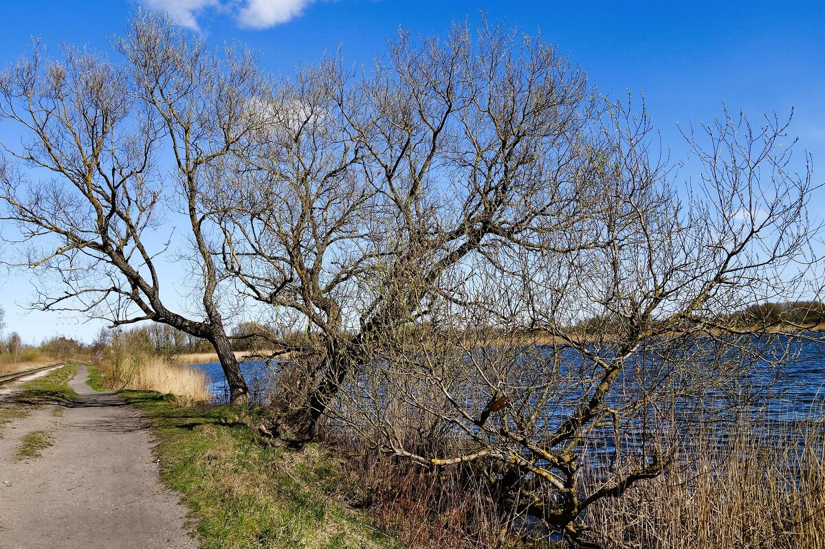 Городские окраины - Рита Симонова Городские окраины - Рита Симонова