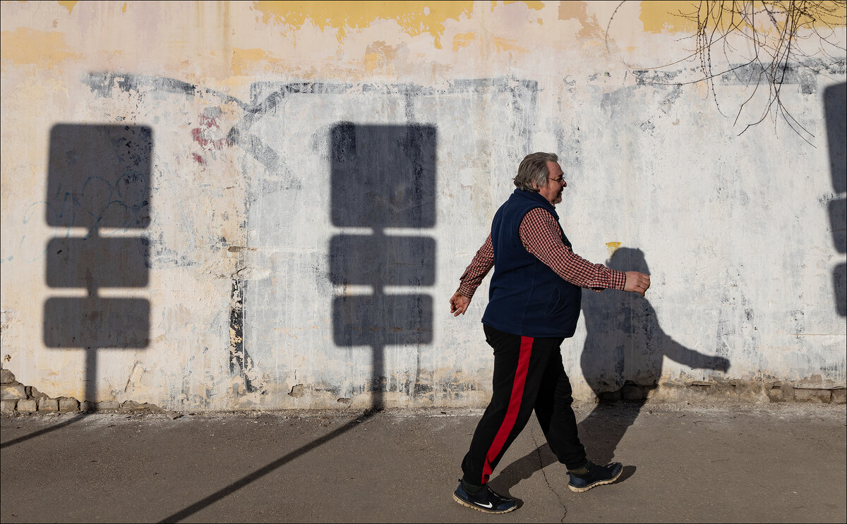 Правильный пешеход. - Елена Демидова Правильный пешеход. - Елена Демидова