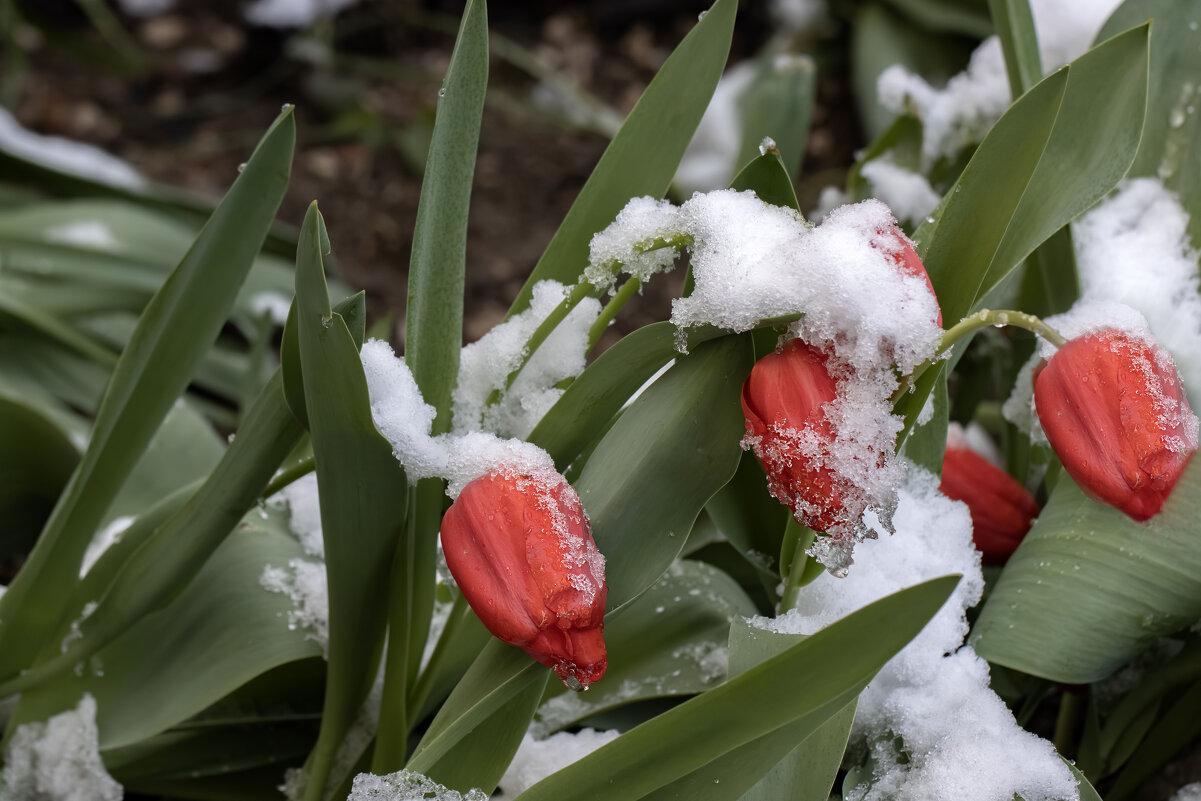 Вместе нам не страшно... - Валерий Басыров Вместе нам не страшно... - Валерий Басыров