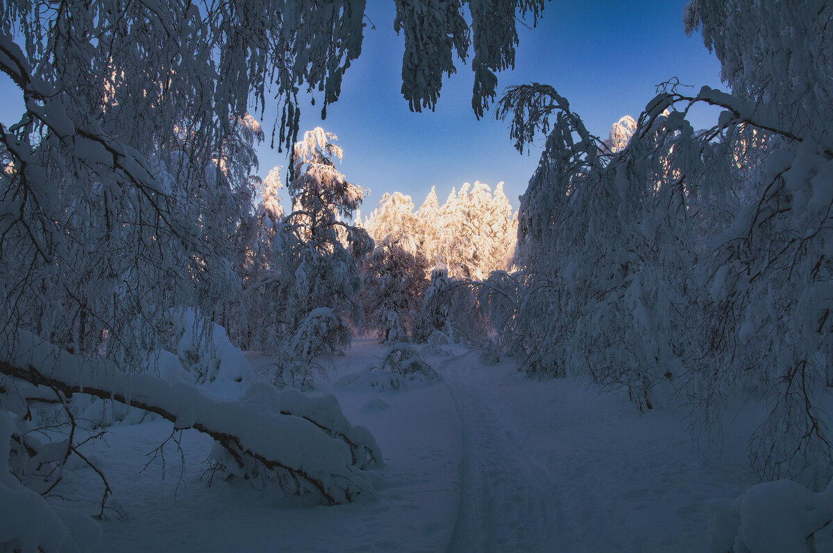 Дорога к свету - Vladimbormotov 