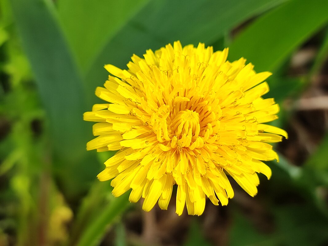 ,,, - Сергей Тимоновский