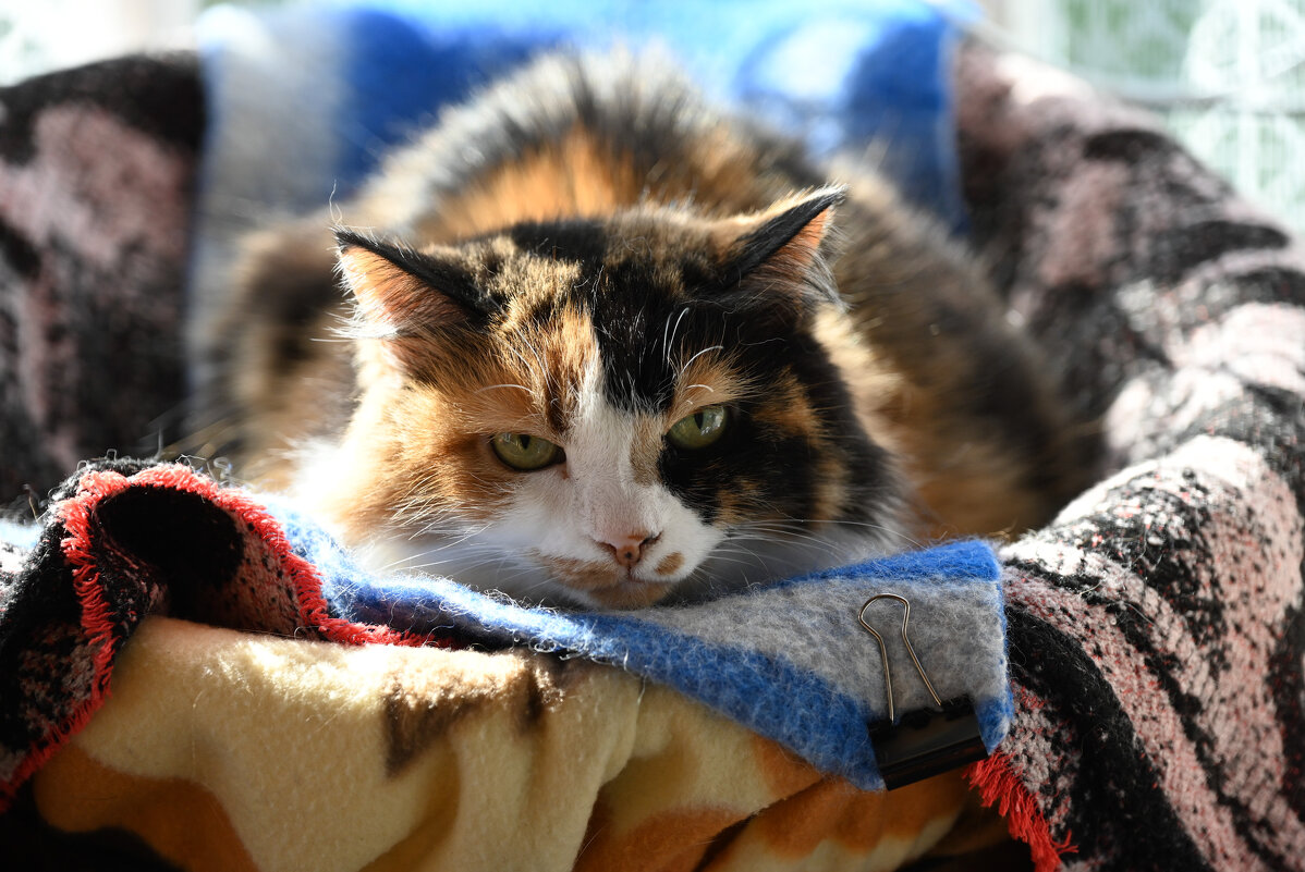 Минни - Вадим 