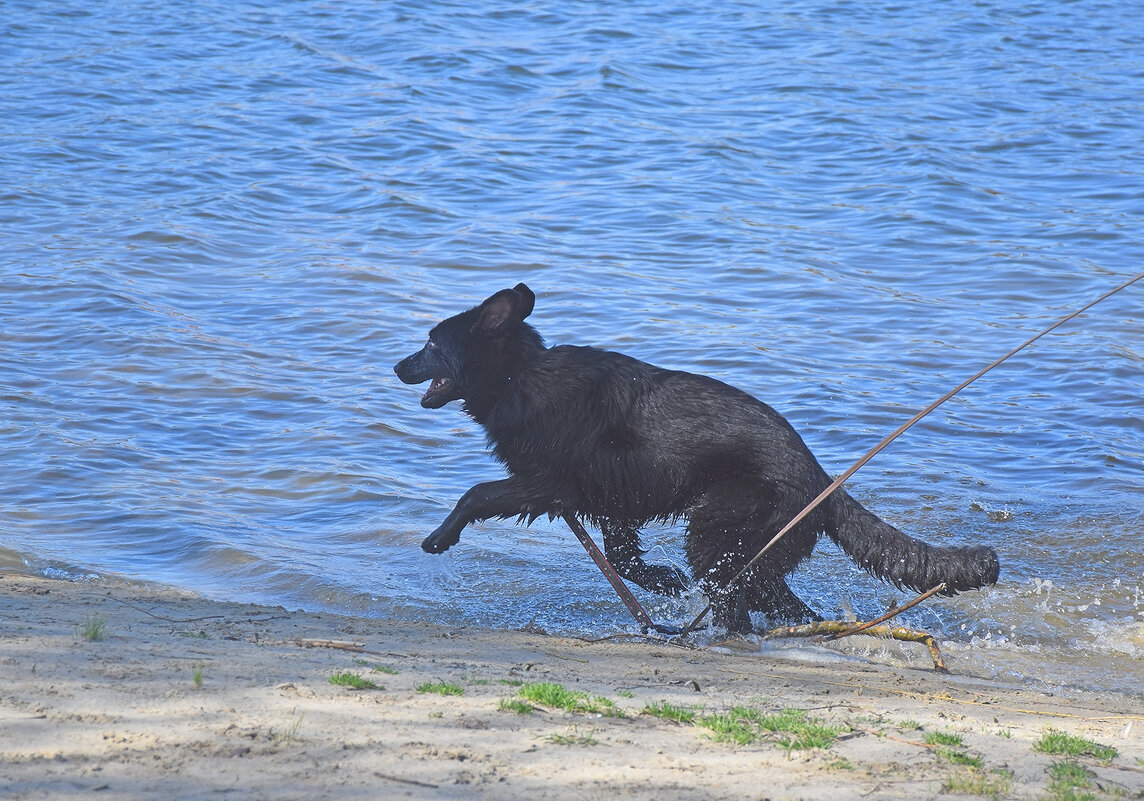 ЗдООрово! - Валентина Нефёдова ЗдООрово! - Валентина Нефёдова