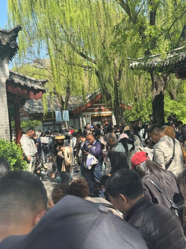 Весна в Китае - Ирэн 