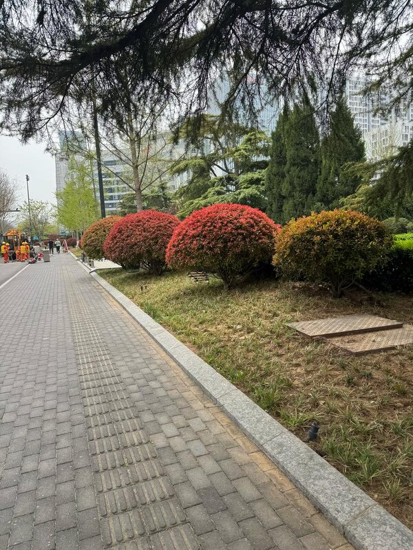 Весна в Китае - Ирэн 