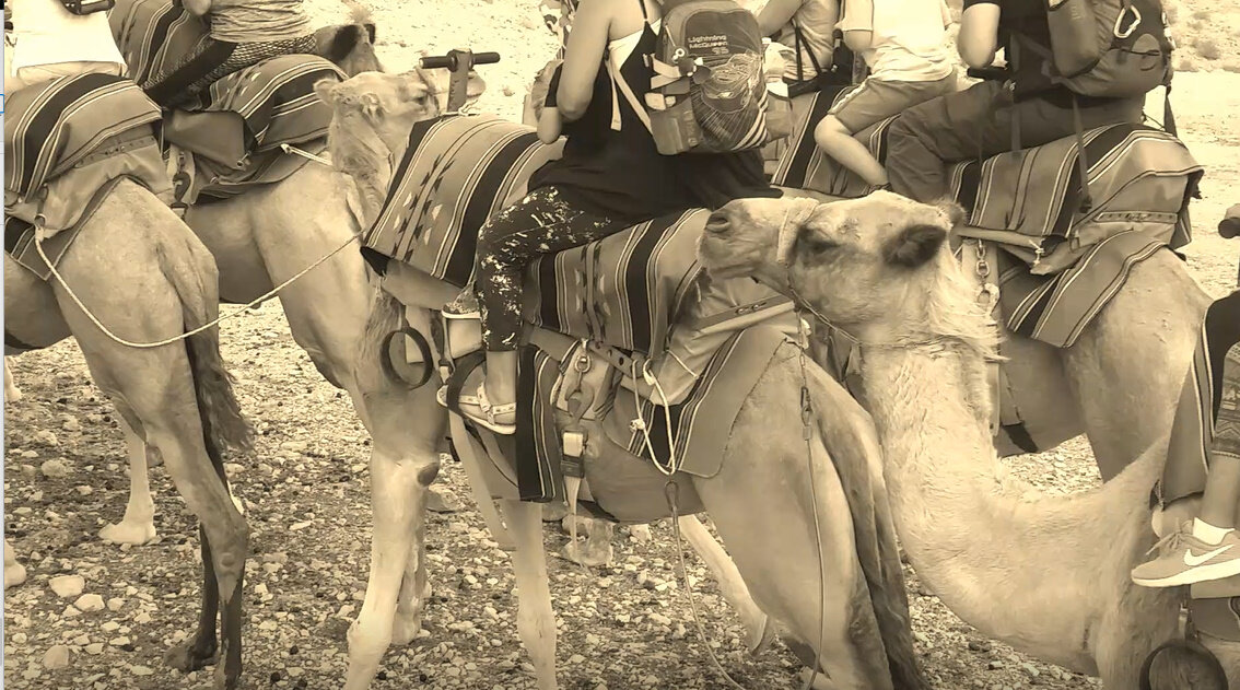 110 (175) - СТРЕН 