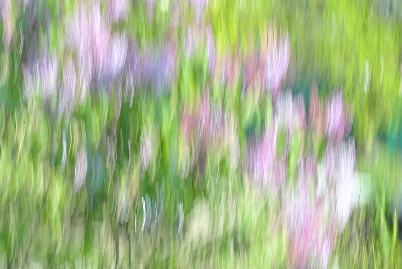 Сирень - Александр 