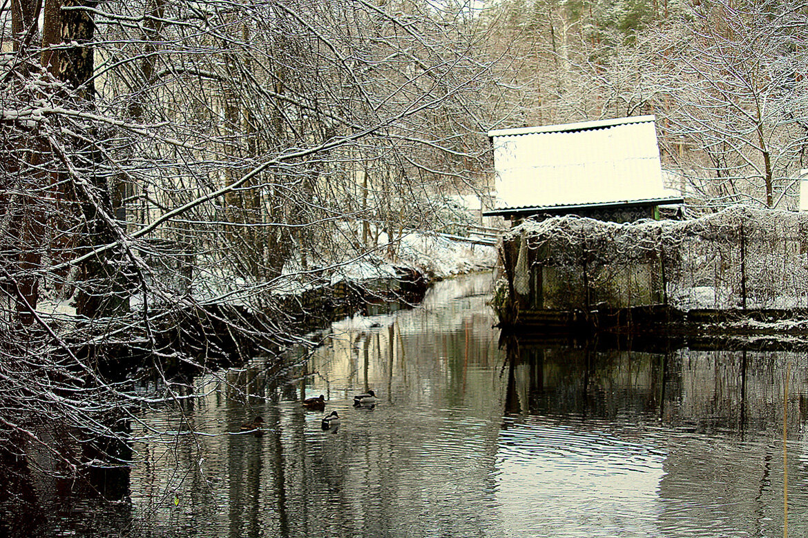 Банька - Aleksandr Gal Банька - Aleksandr Gal