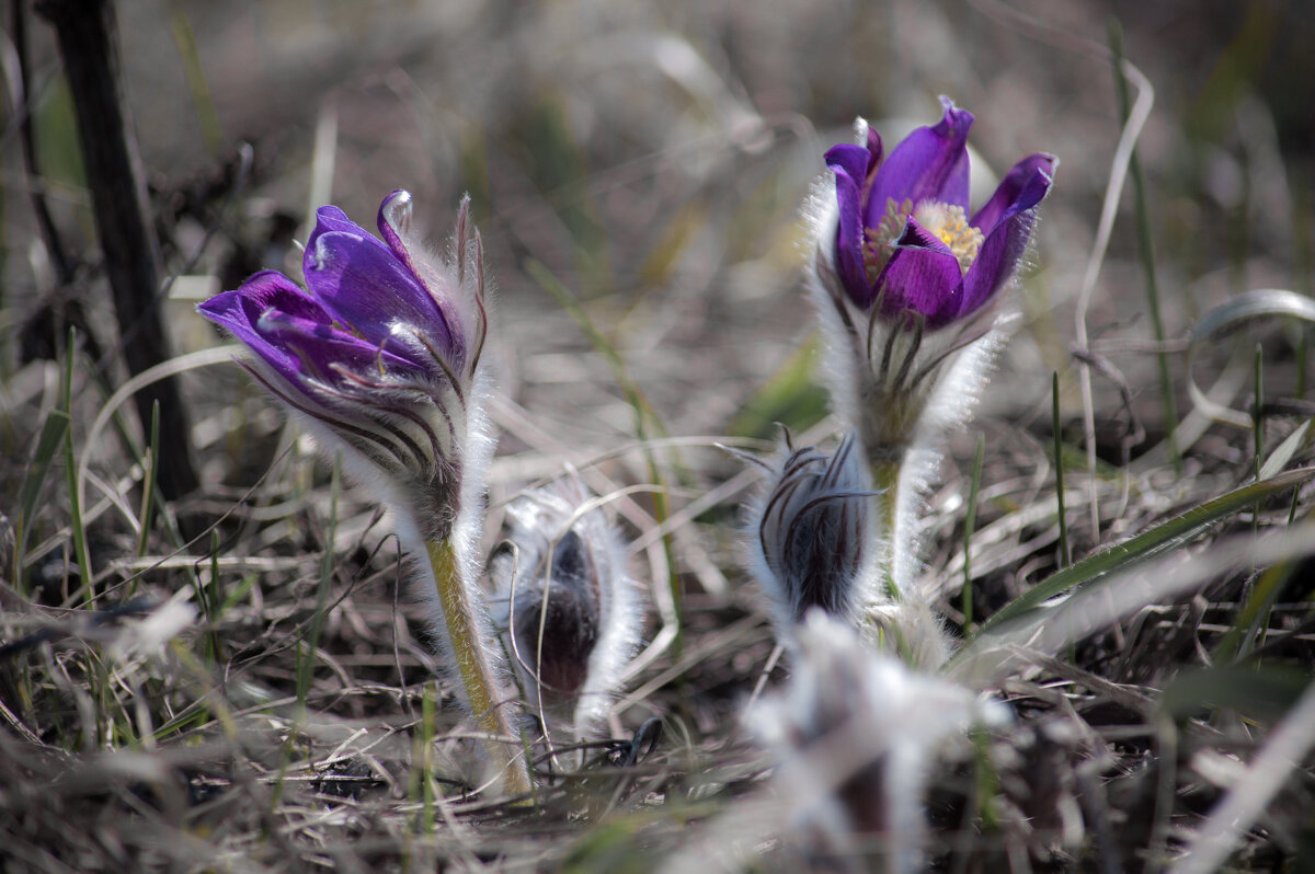 ... - Владимир Новиков