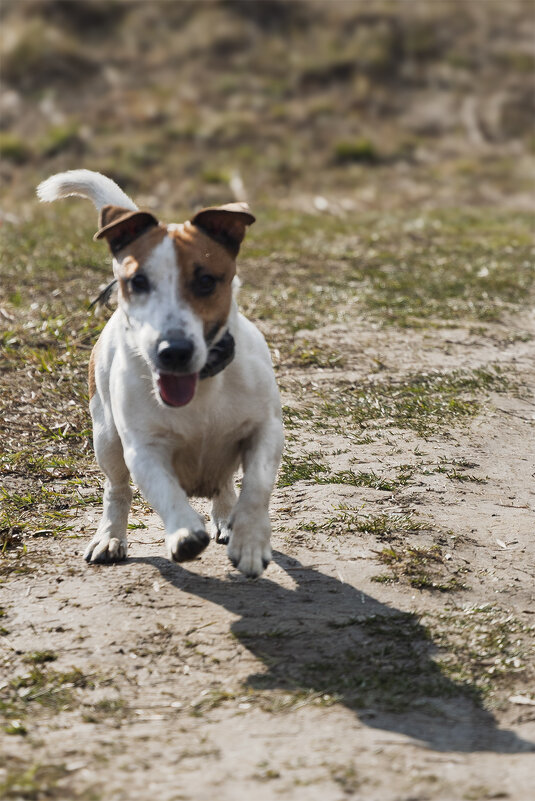 навстречу счастью - Michel 