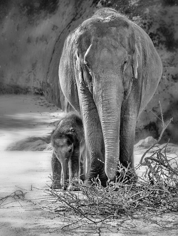 Мать и дитя - Андроник Александр 