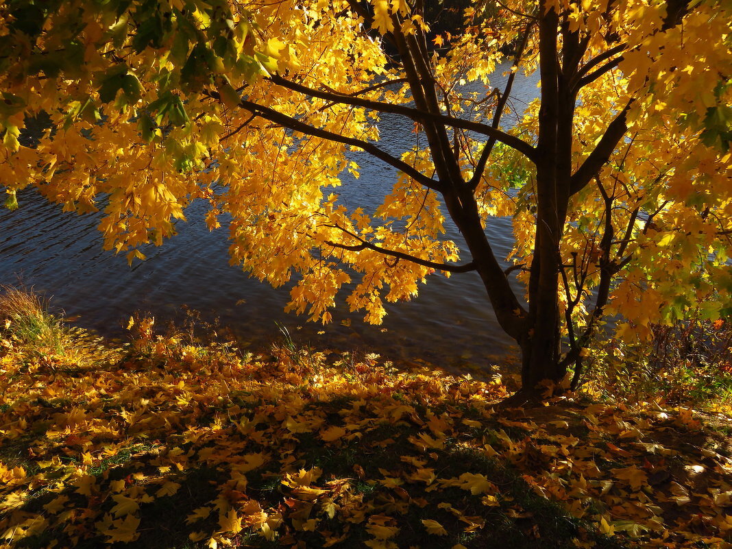 Когда есть, что вспомнить - Андрей Лукьянов Когда есть, что вспомнить - Андрей Лукьянов