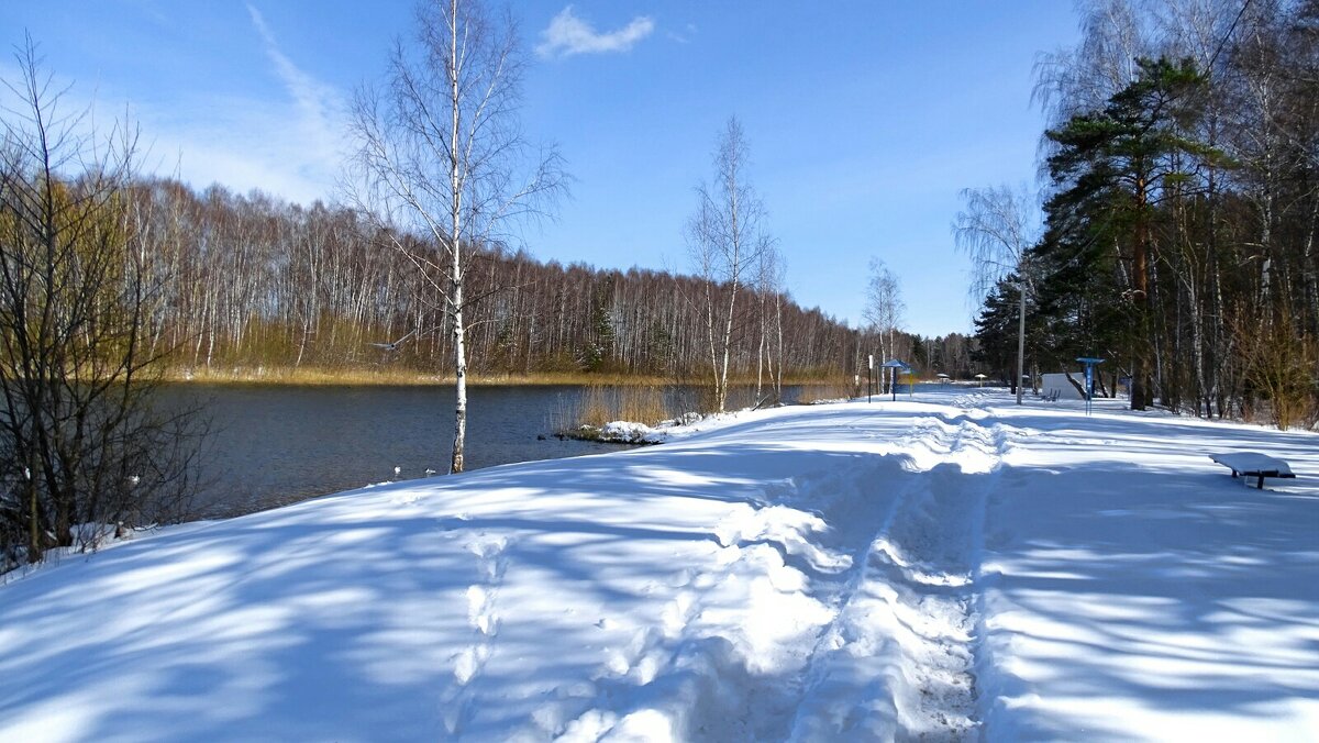 На городском пляже "немного" навалило снега (репортаж из поездок по области). - Милешкин Владимир Алексеевич На городском пляже "немного" навалило снега (репортаж из поездок по области). - Милешкин Владимир Алексеевич