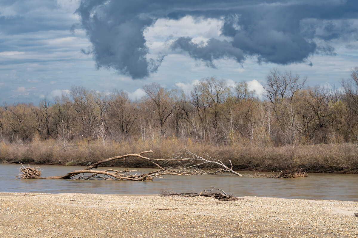 Река Кубань - Игорь Сикорский