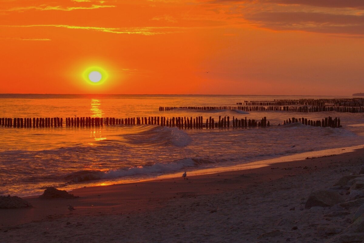 Оранжевый рассвет - Юрий. Шмаков