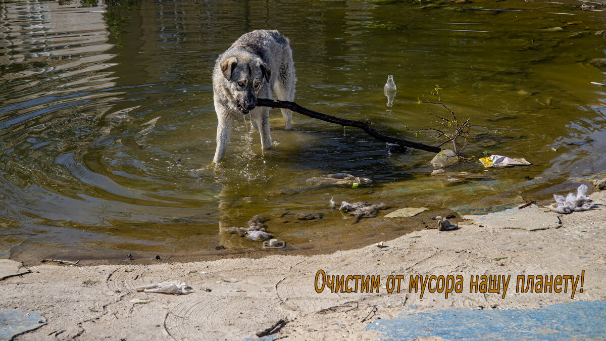 Сознательный - Анатолий Чикчирный Сознательный - Анатолий Чикчирный