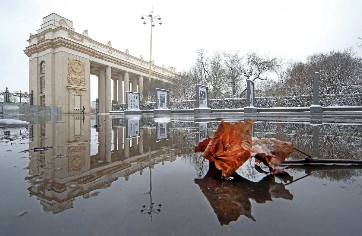 ЦПКиО - Михаил Бибичков