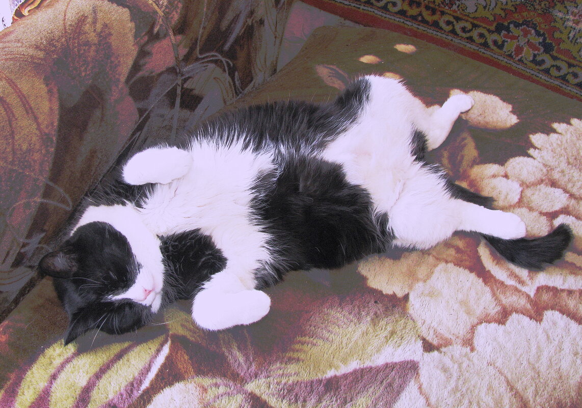 Кайф - Людмила Смородинская Кайф - Людмила Смородинская