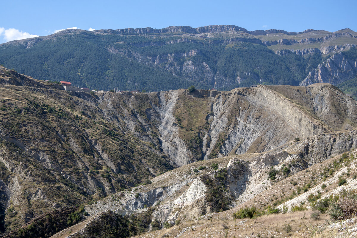 Дагестан - Gen 