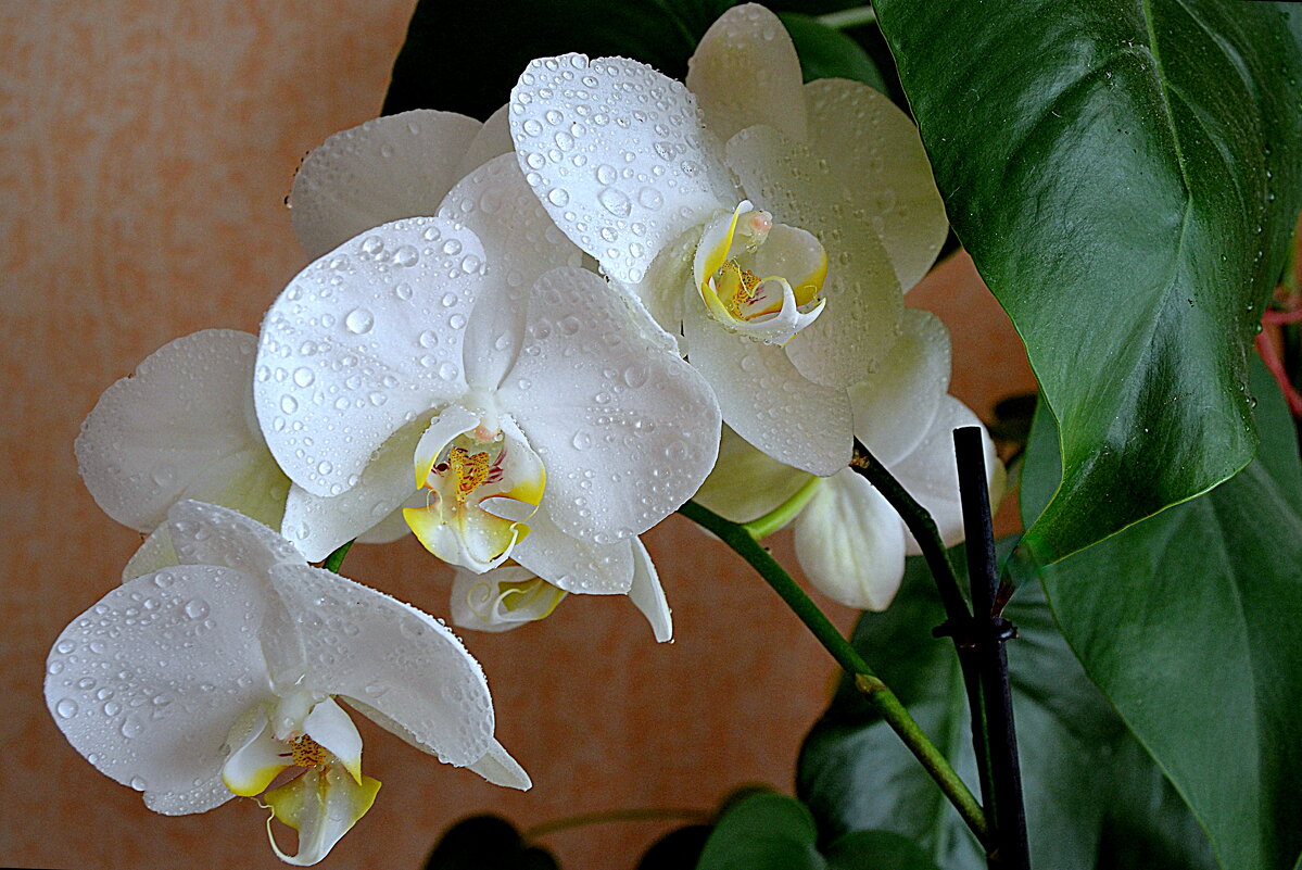 УТРО... - Татьяна Касьяненко УТРО... - Татьяна Касьяненко