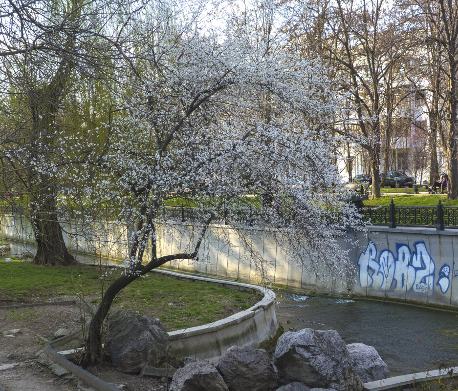 Опять  весна - Валентин Семчишин